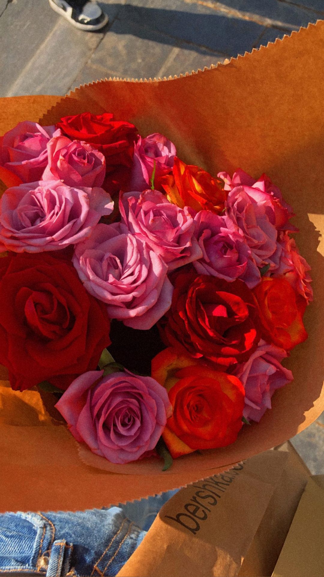 shanidahan7 instagram image archive image