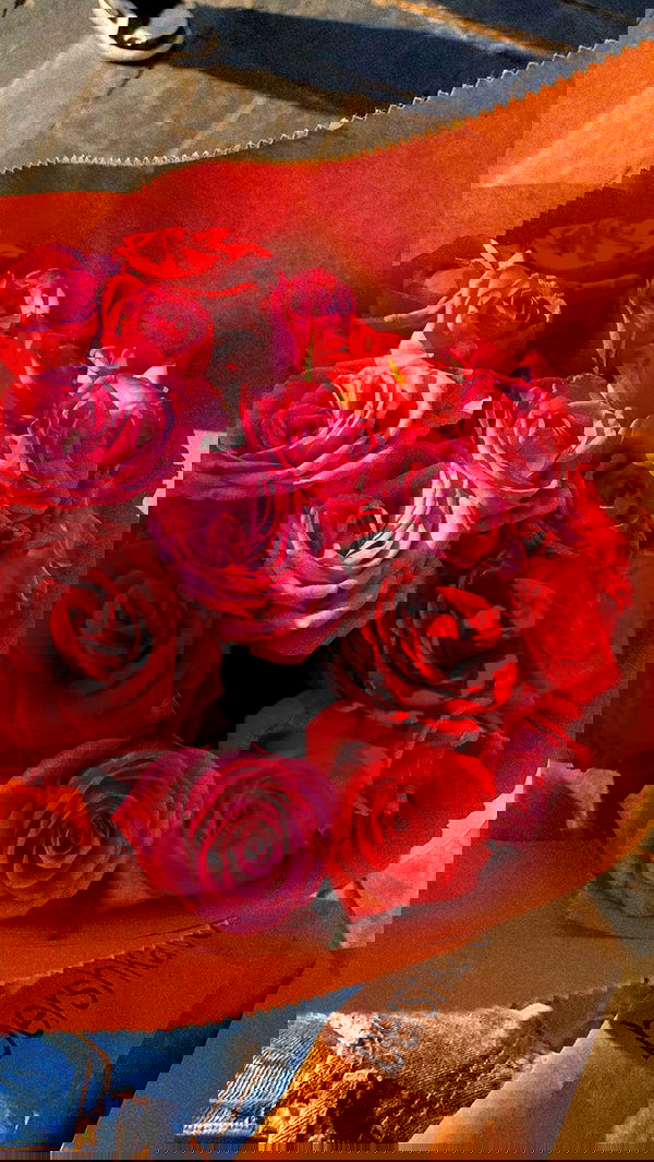 shanidahan7 image ~ Altpins