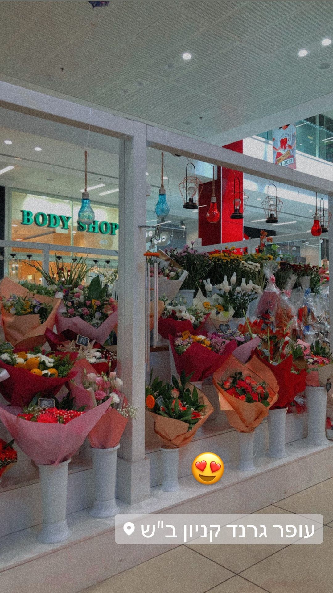 shanidahan7 instagram image archive image