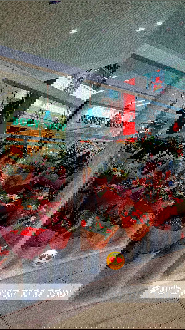 shanidahan7 image ~ Altpins