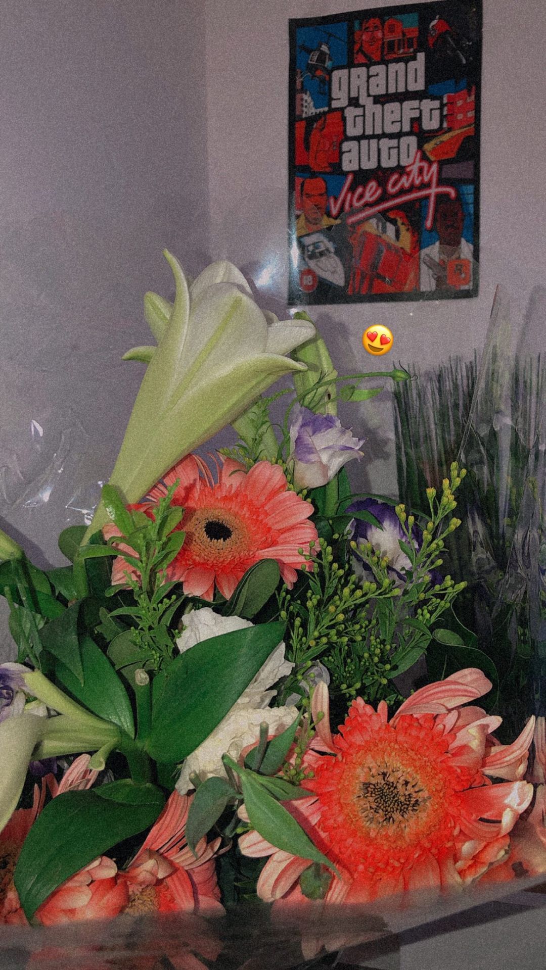 shanidahan7 instagram image archive image