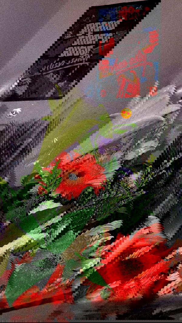 shanidahan7 image ~ Altpins