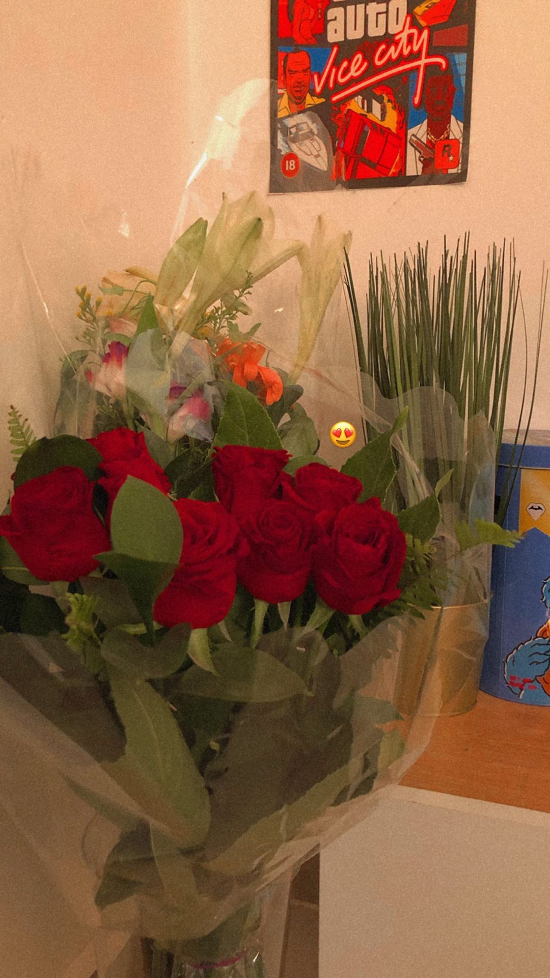 shanidahan7 instagram image archive image