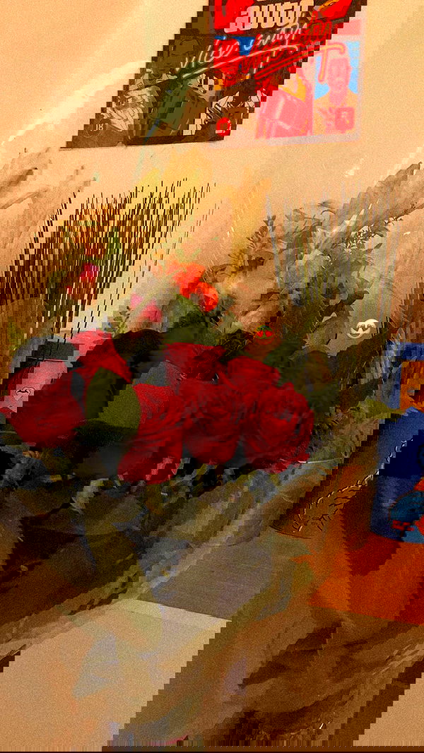 shanidahan7 image ~ Altpins