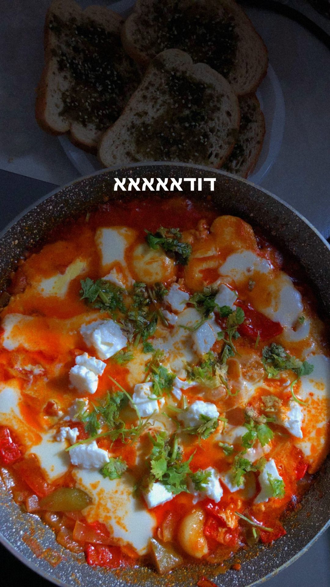 shanidahan7 instagram image archive image