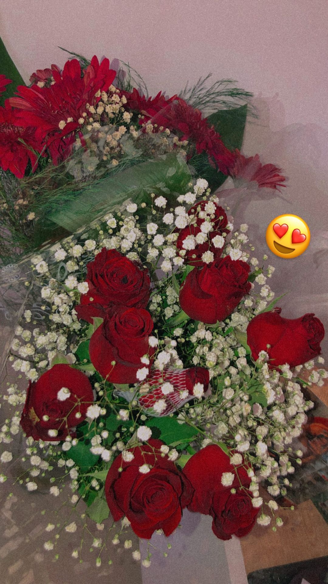 shanidahan7 instagram image archive image