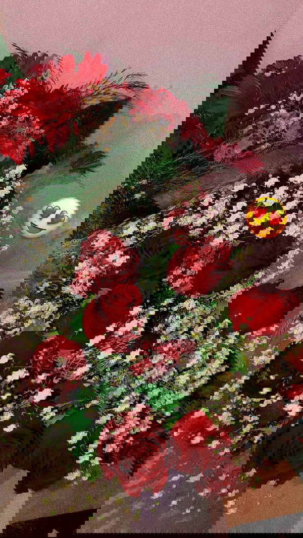 shanidahan7 image ~ Altpins