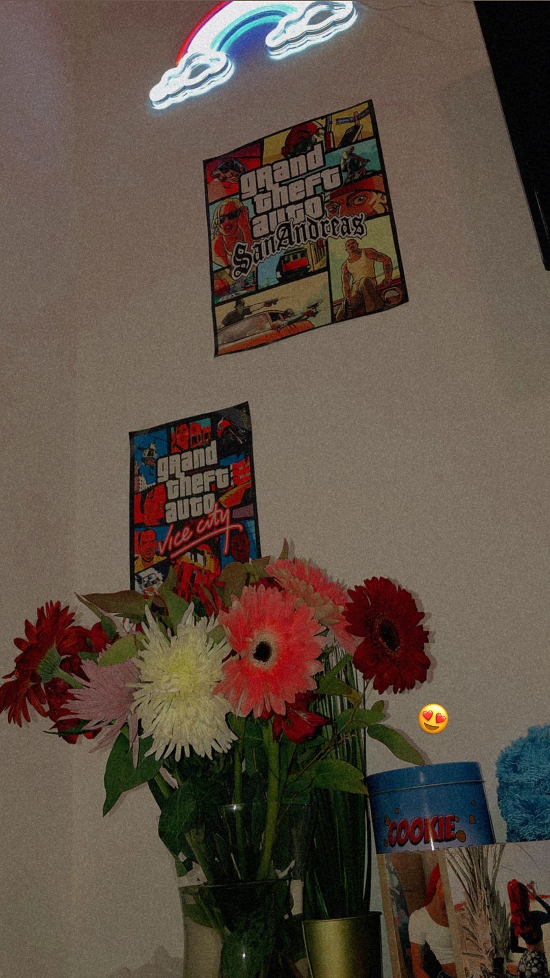 shanidahan7 instagram image archive image