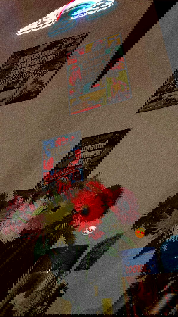 shanidahan7 image ~ Altpins