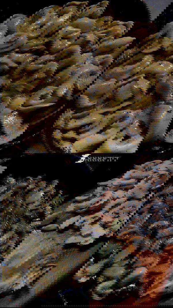 shanidahan7 image ~ Altpins