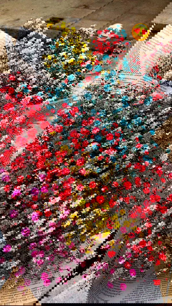 shanidahan7 image ~ Altpins