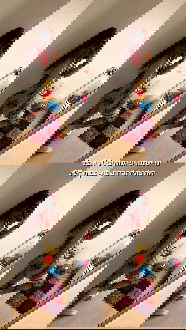 shanidahan7 image ~ Altpins