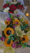 shanidahan7 Altpins Profile Picture