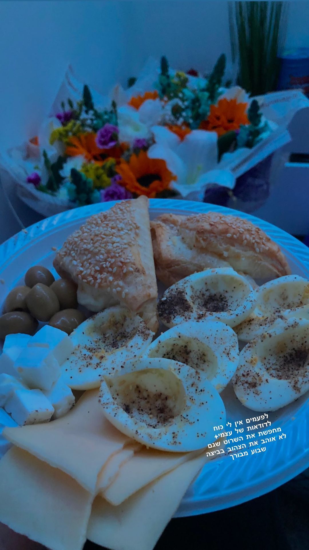 shanidahan7 instagram image archive image