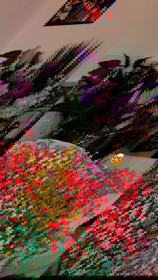 shanidahan7 image ~ Altpins