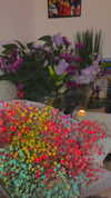 shanidahan7 Altpins Profile Picture