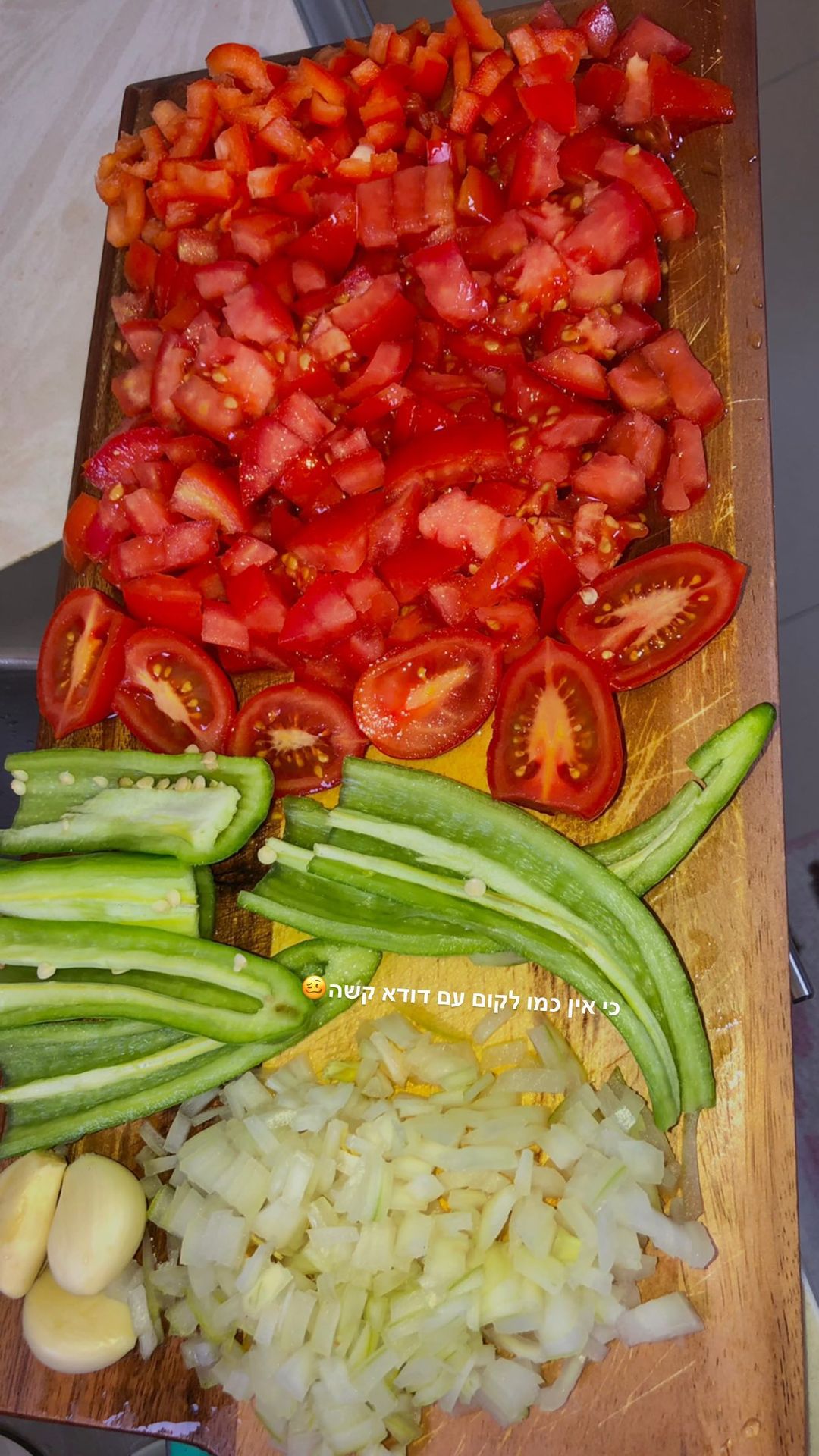 shanidahan7 instagram image archive image