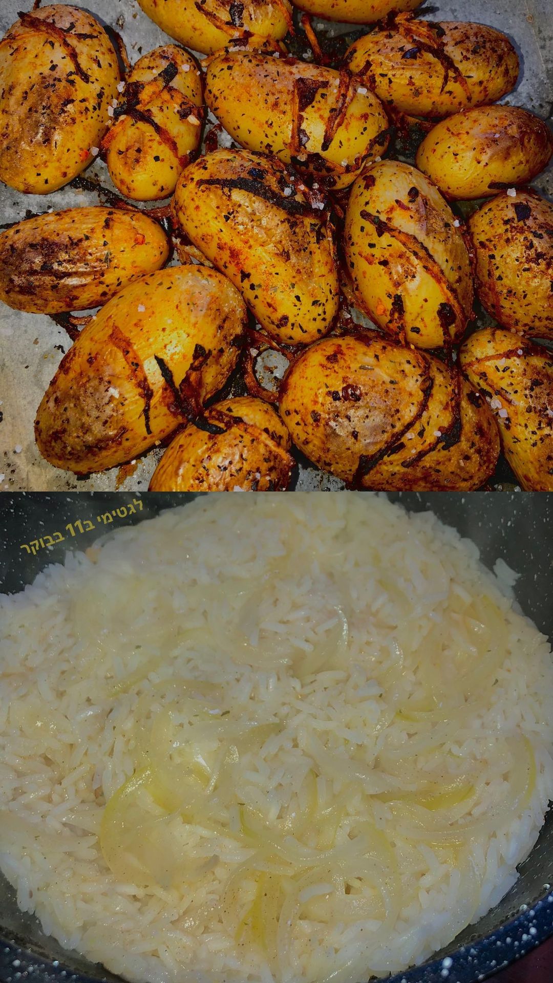 shanidahan7 instagram image archive image