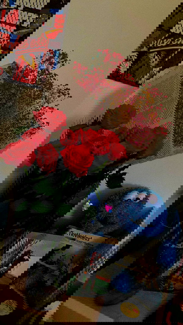 shanidahan7 image ~ Altpins