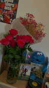 shanidahan7 Altpins Profile Picture