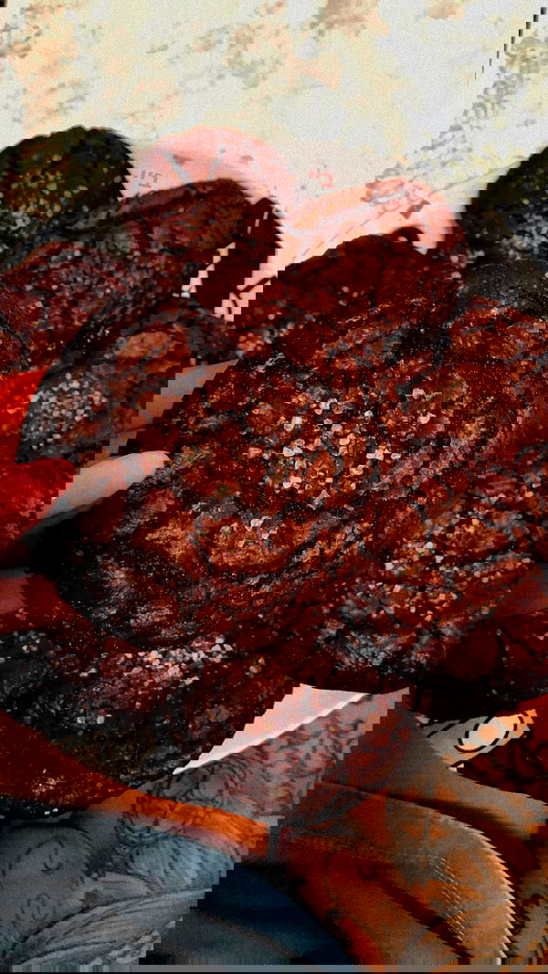 shanidahan7 image ~ Altpins