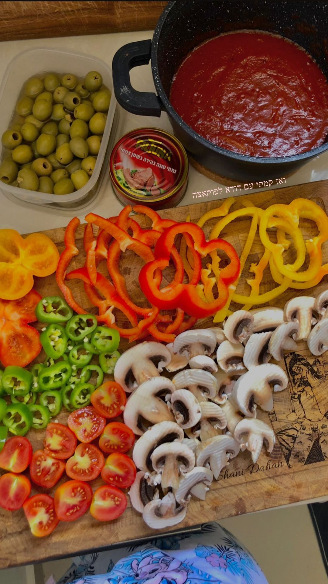 shanidahan7 instagram image archive image