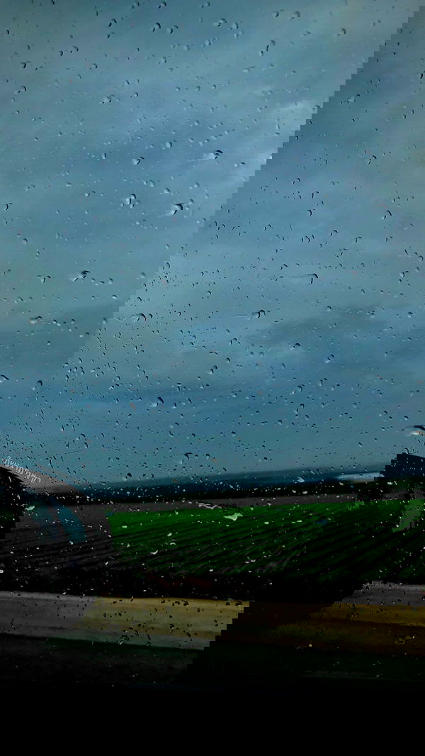 shanidahan7 image ~ Altpins