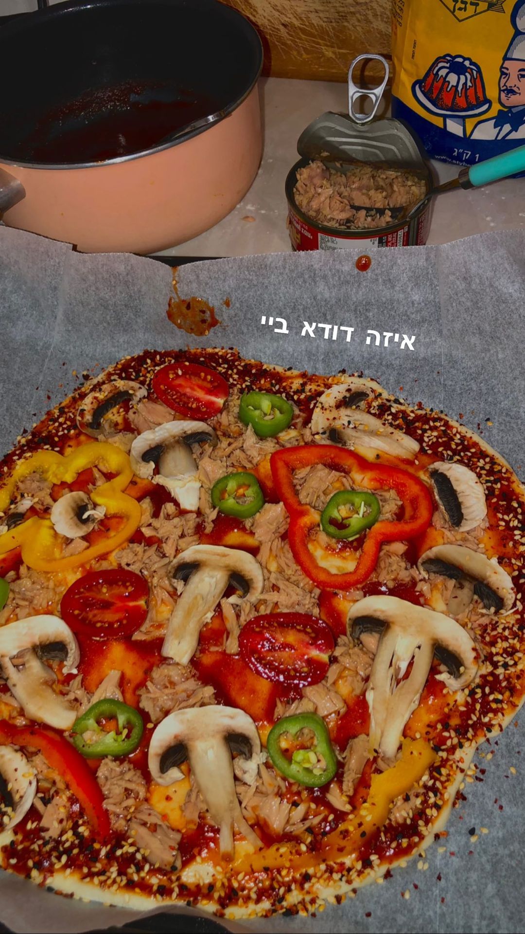 shanidahan7 instagram image archive image