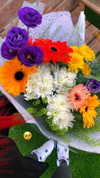 shanidahan7 Altpins Profile Picture