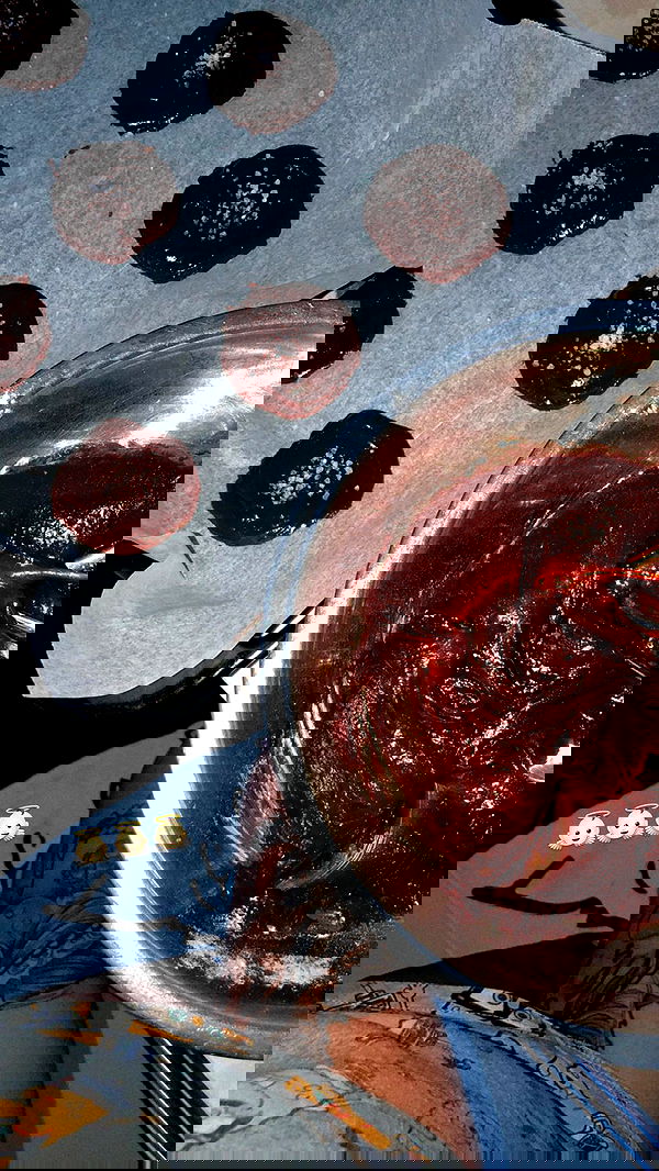 shanidahan7 image ~ Altpins