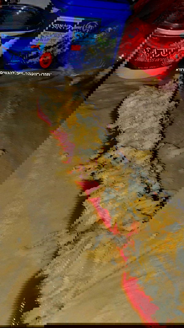 shanidahan7 image ~ Altpins