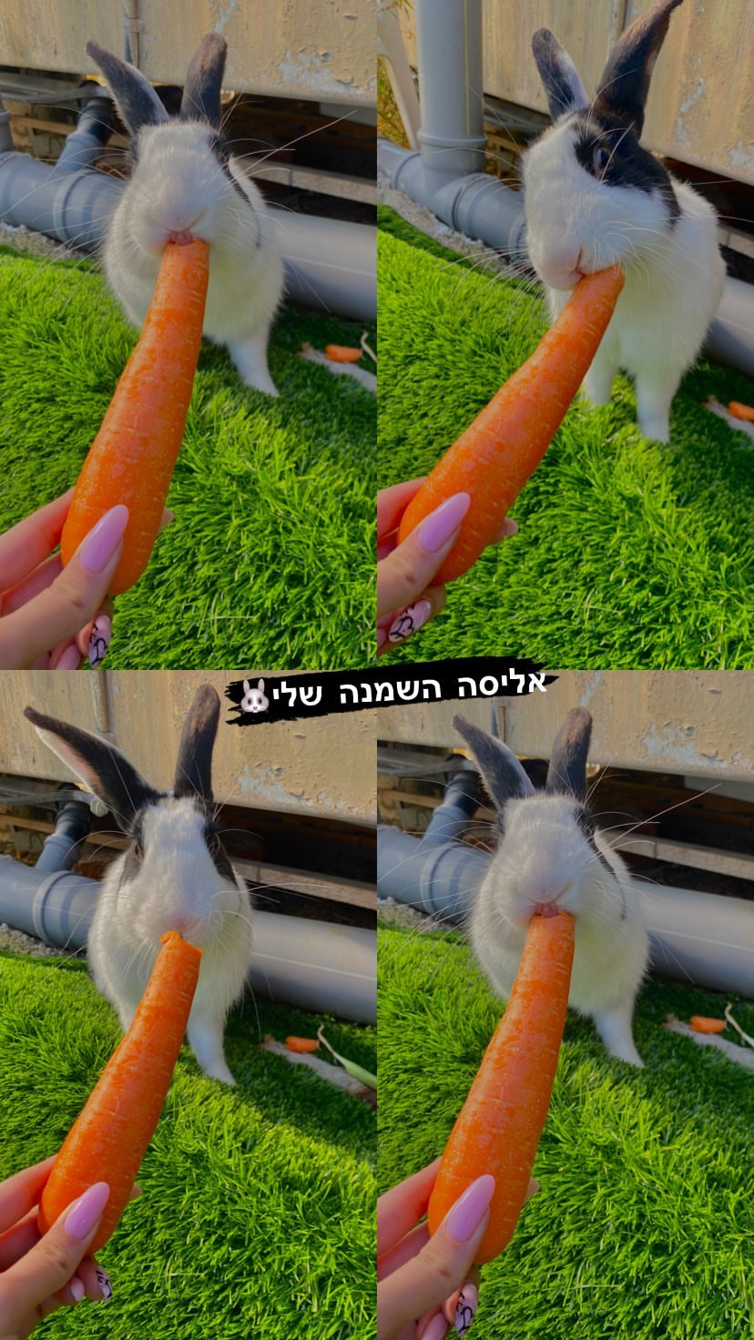 shanidahan7 instagram image archive image