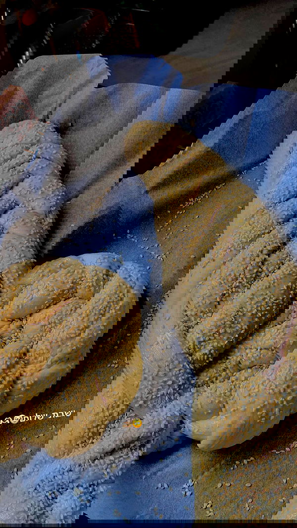 shanidahan7 image ~ Altpins