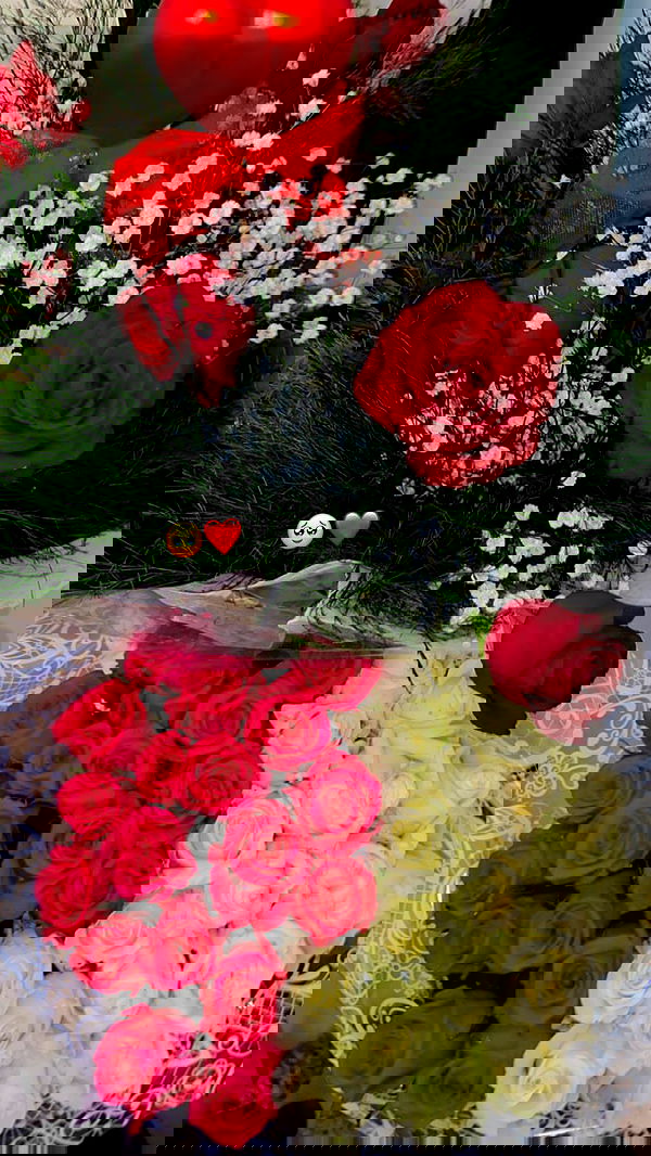 shanidahan7 image ~ Altpins