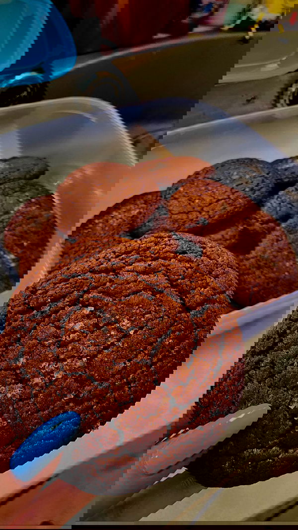 shanidahan7 image ~ Altpins