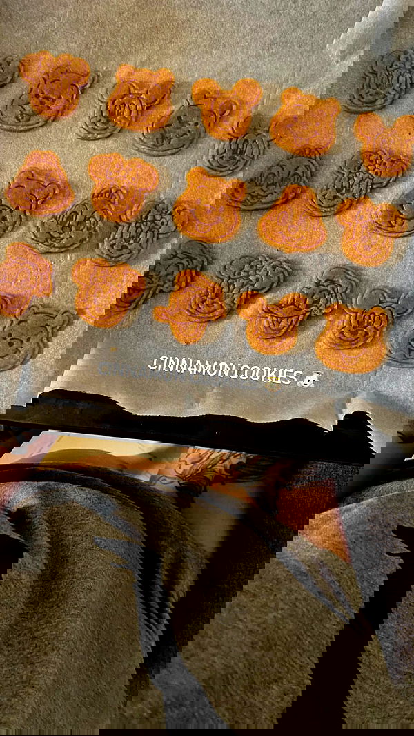 shanidahan7 image ~ Altpins