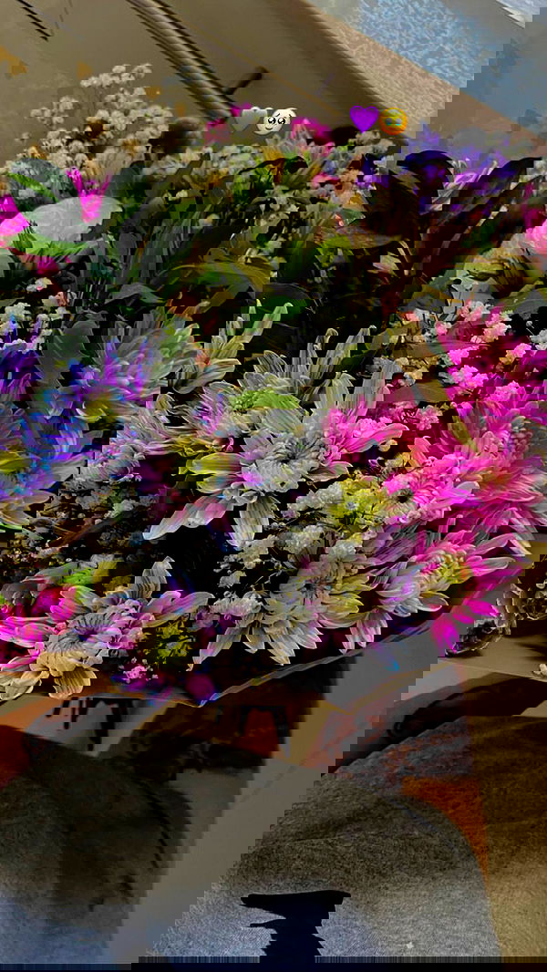 shanidahan7 image ~ Altpins