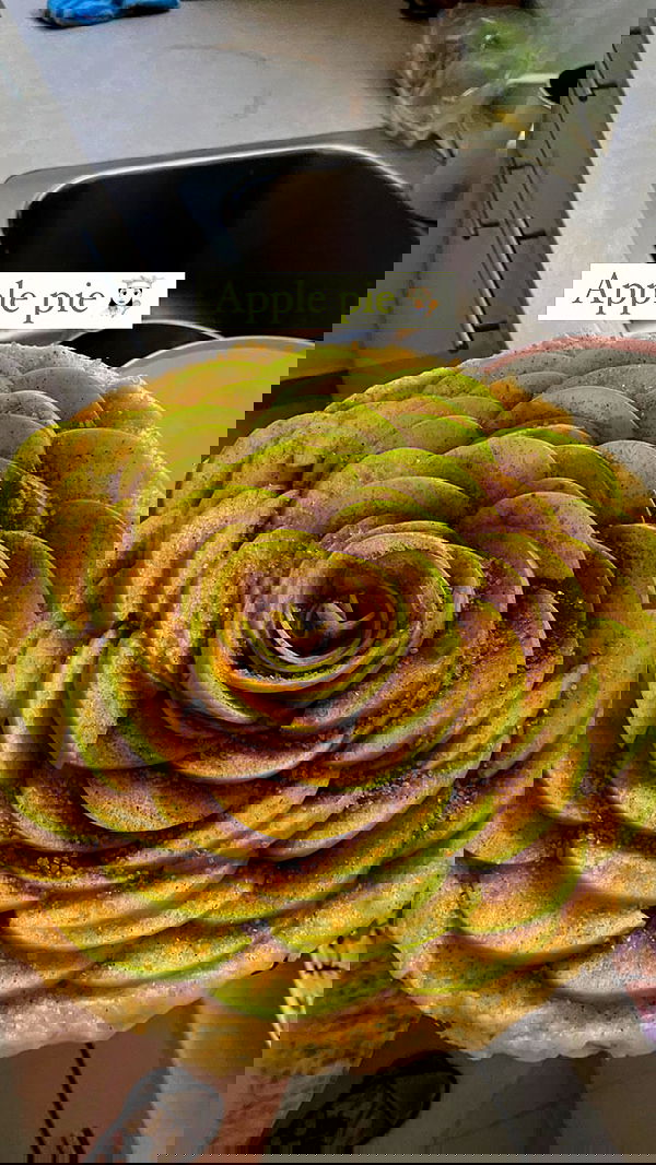 shanidahan7 image ~ Altpins