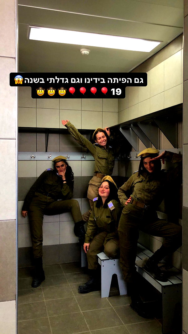 shellydekel shellydekel archive image