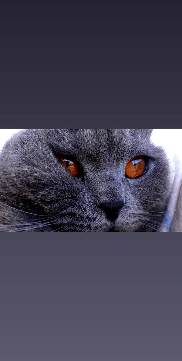 shinomayaa instagram image archive image