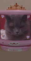 shinomayaa Altpins Profile Picture