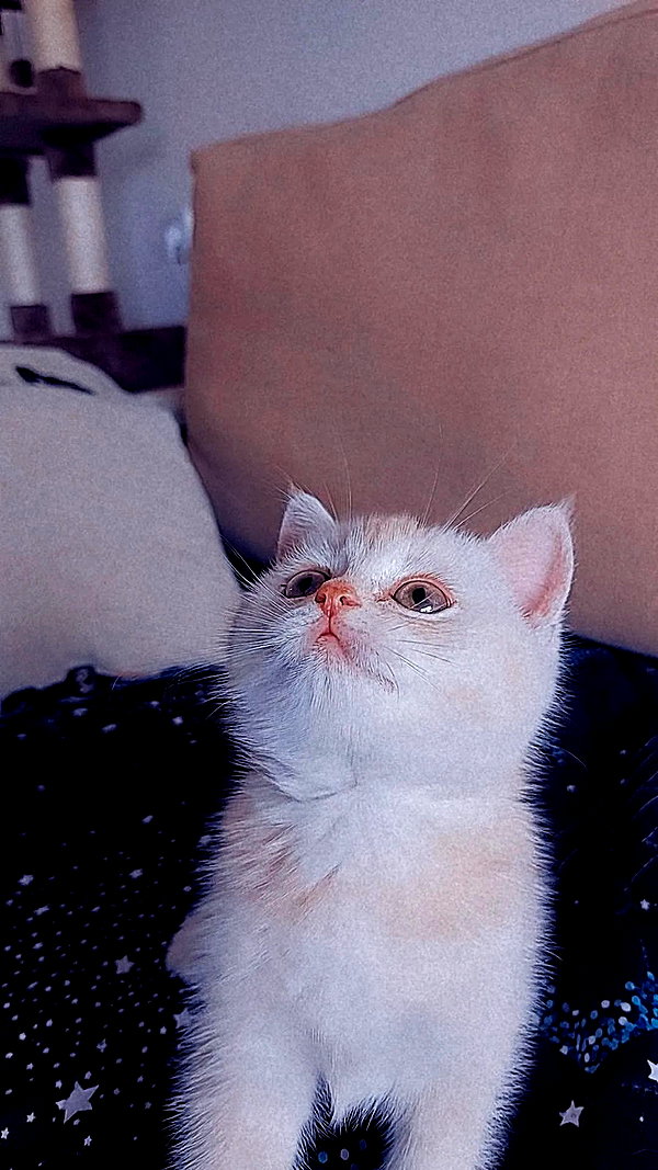 shinomayaa instagram image archive image