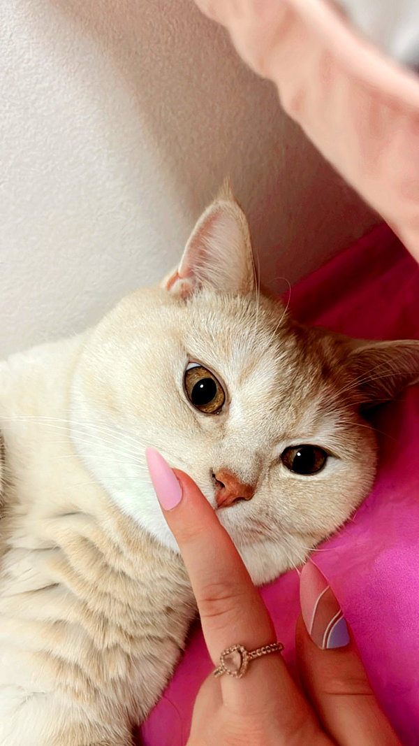 shinomayaa instagram image archive image