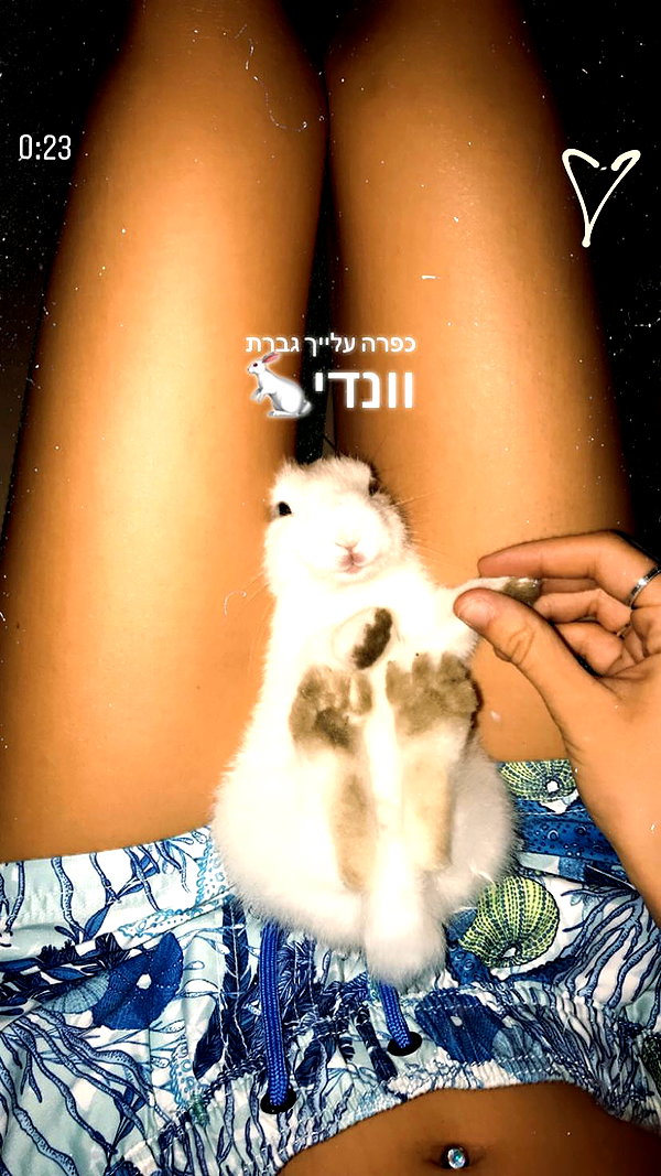 shir.moshe666 instagram image archive image