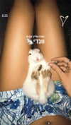 shir.moshe666 Altpins Profile Picture