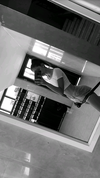 shir.moshe666 Altpins Profile Picture