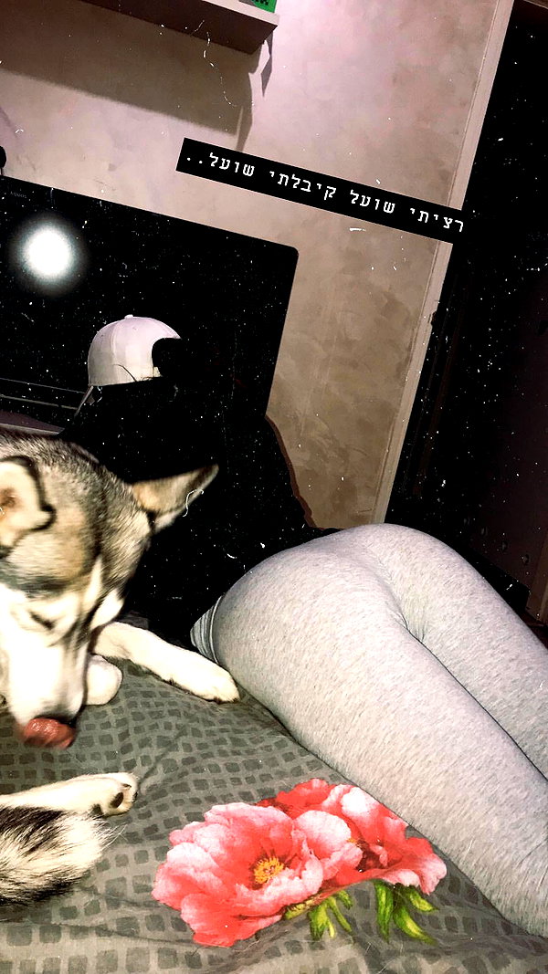 shir.moshe666 instagram image archive image