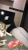 shir.moshe666 Altpins Profile Picture