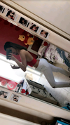 shir.moshe666 Altpins Profile Picture