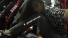 shir.moshe666 Altpins Profile Picture